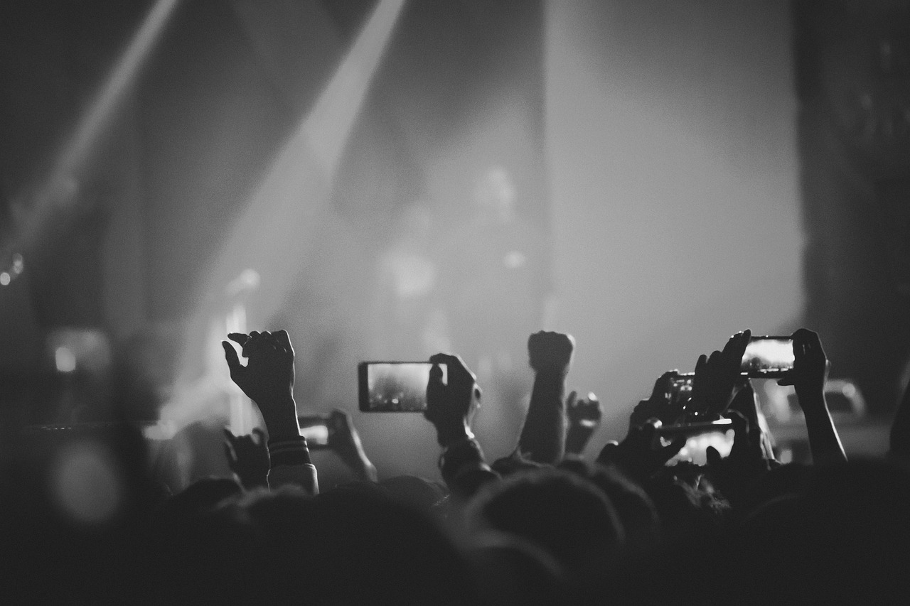 Vegas concert
