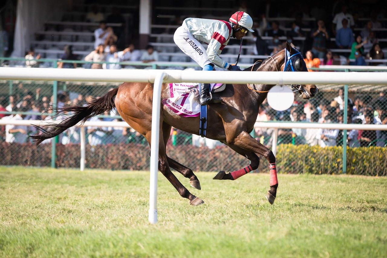 Horse racing