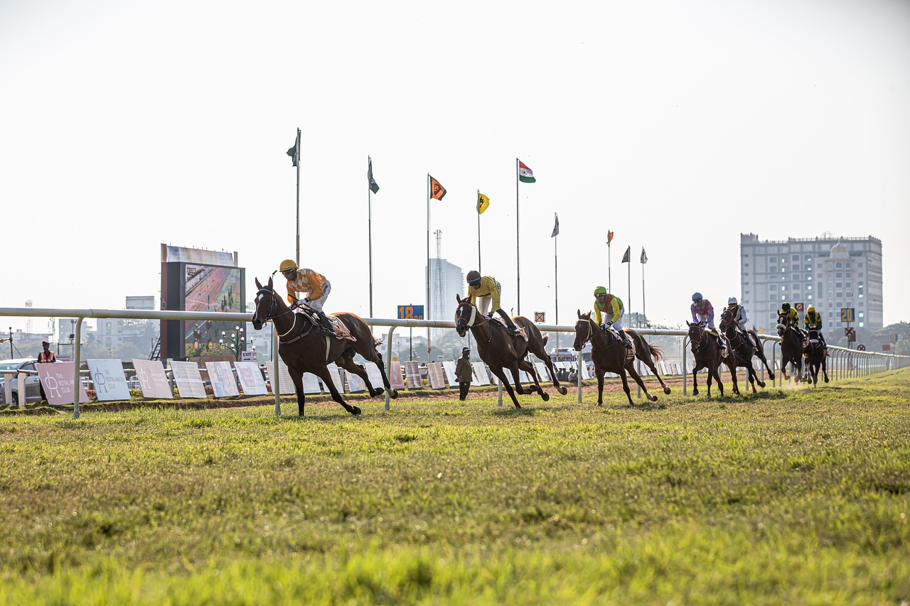 Horse racing