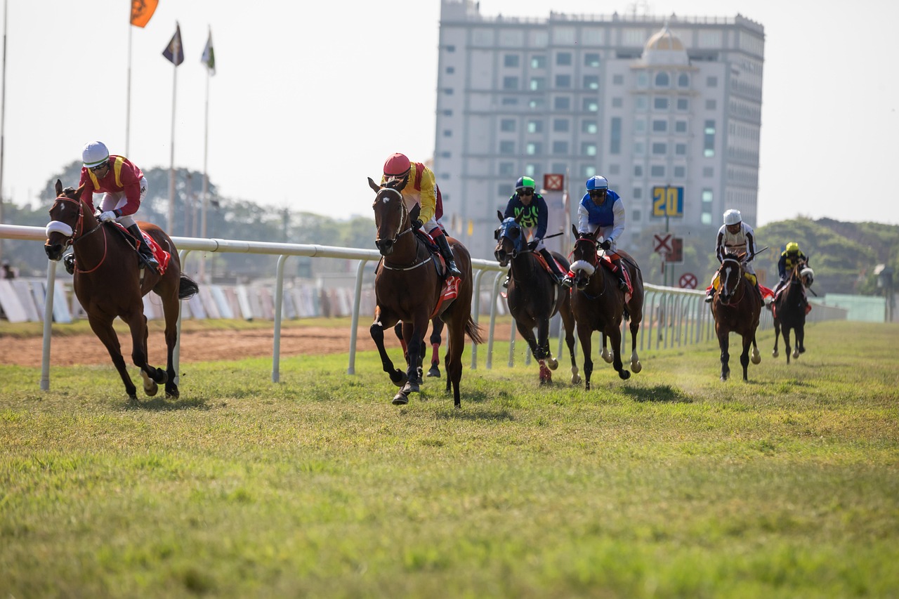 Horse racing