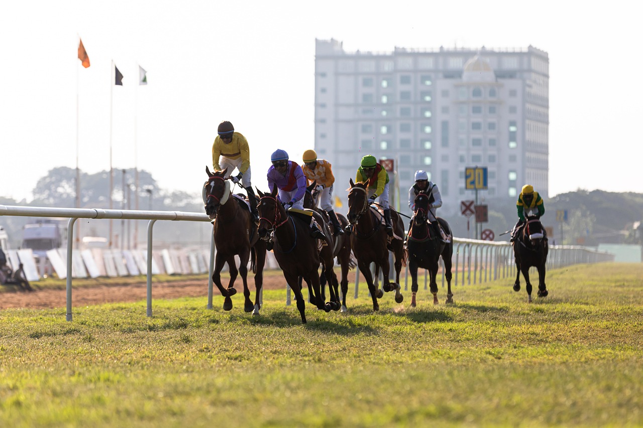 Horse racing