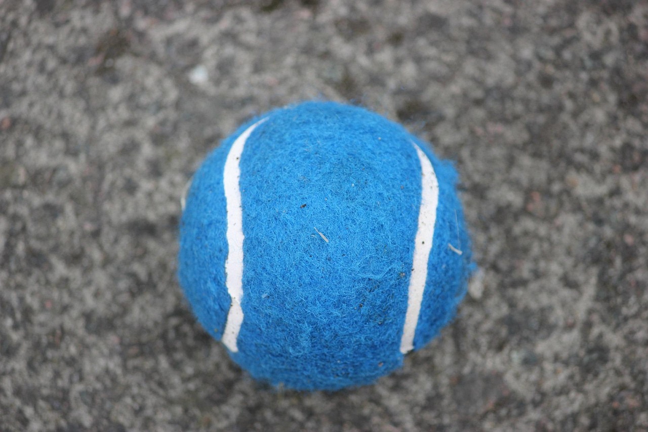 tennis tournament