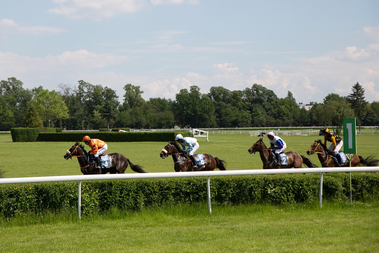 Horse racing
