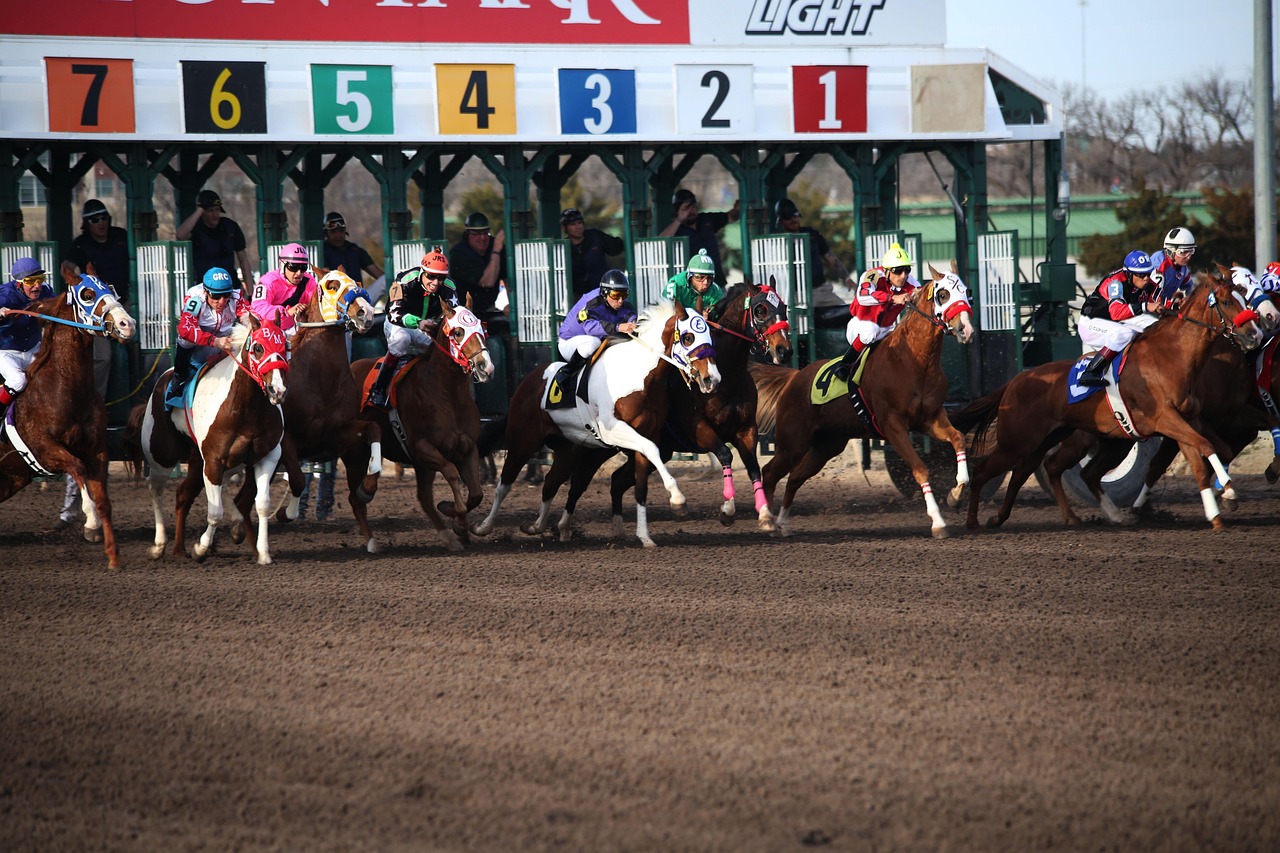 horse racing
