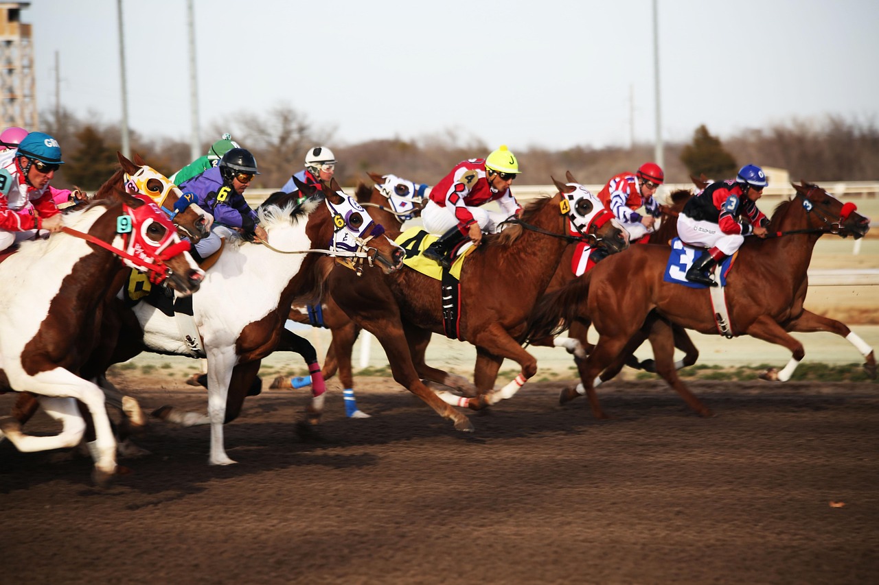 Horse racing