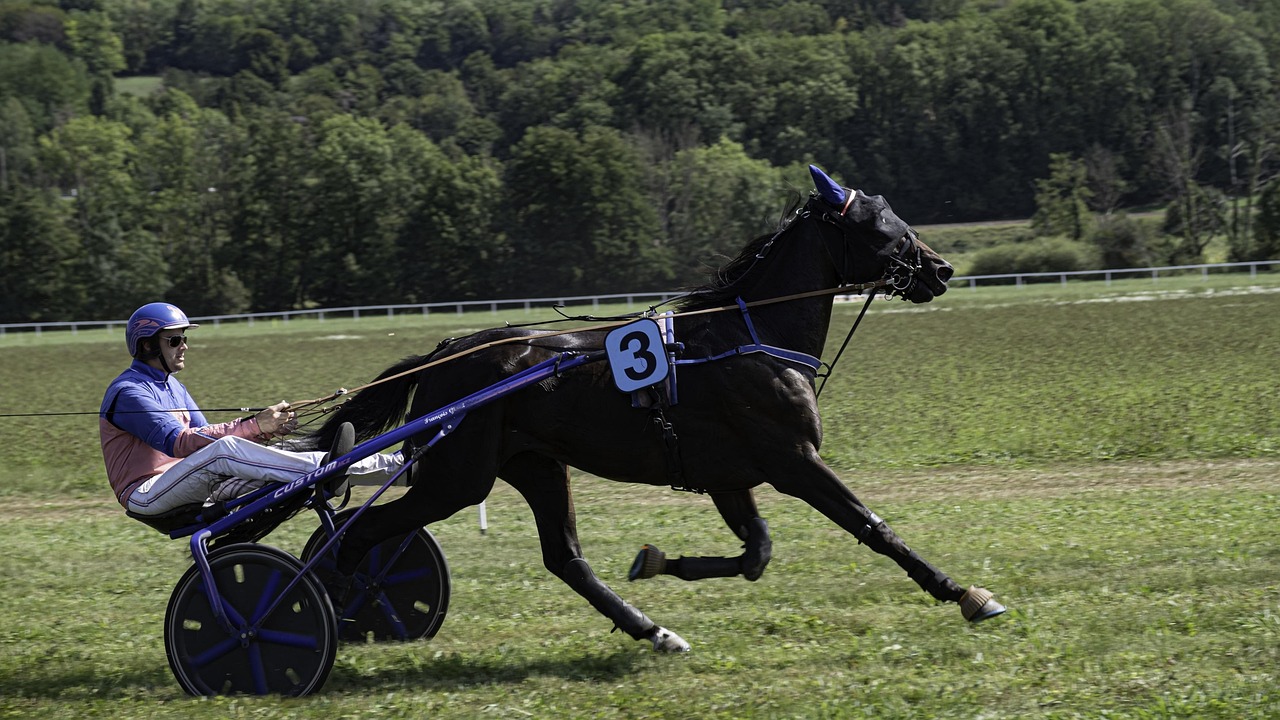 Horse racing