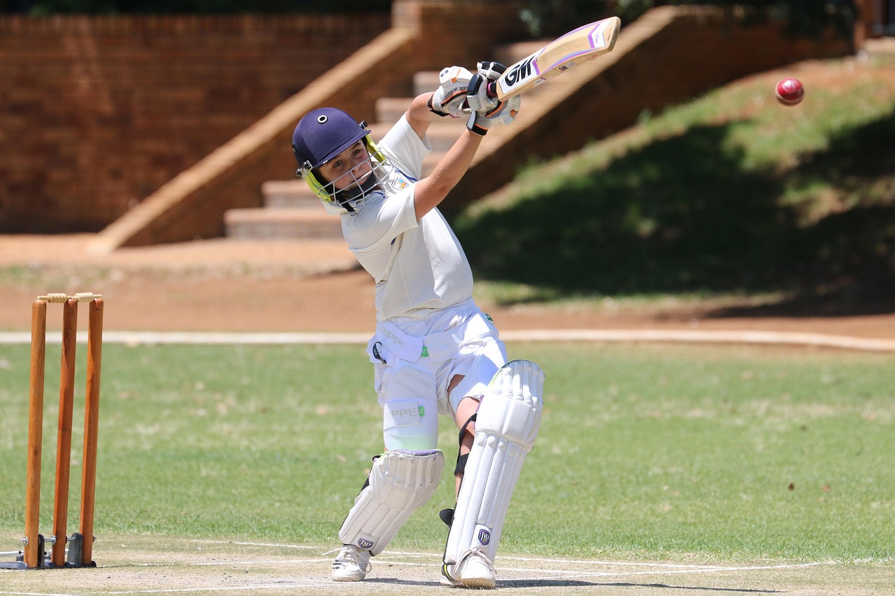 Cricket match
