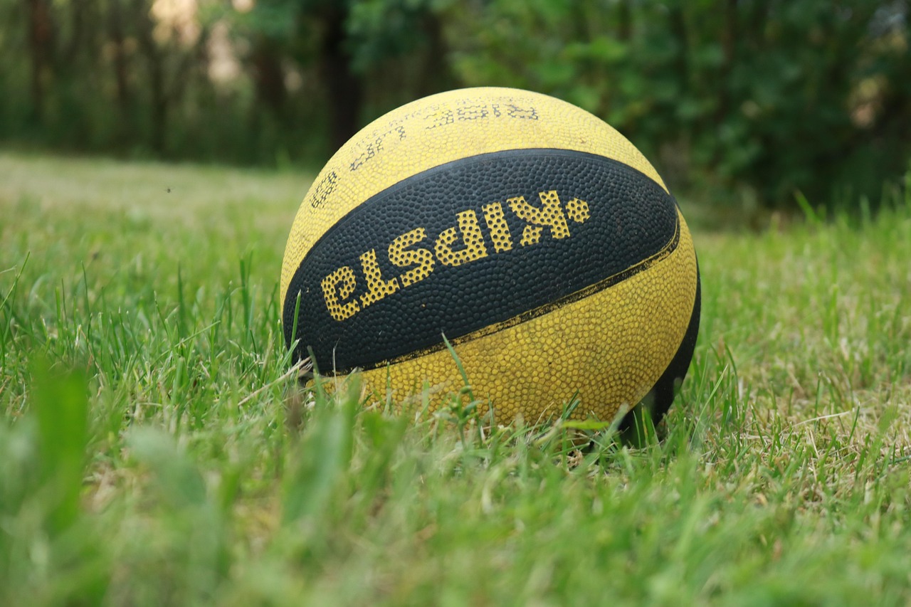 sports results