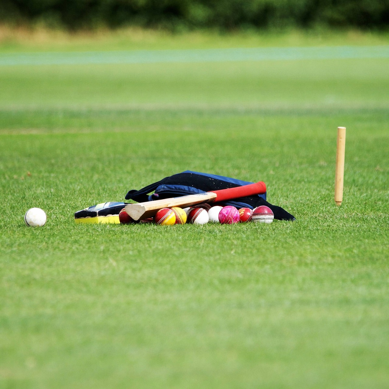 sports coaching