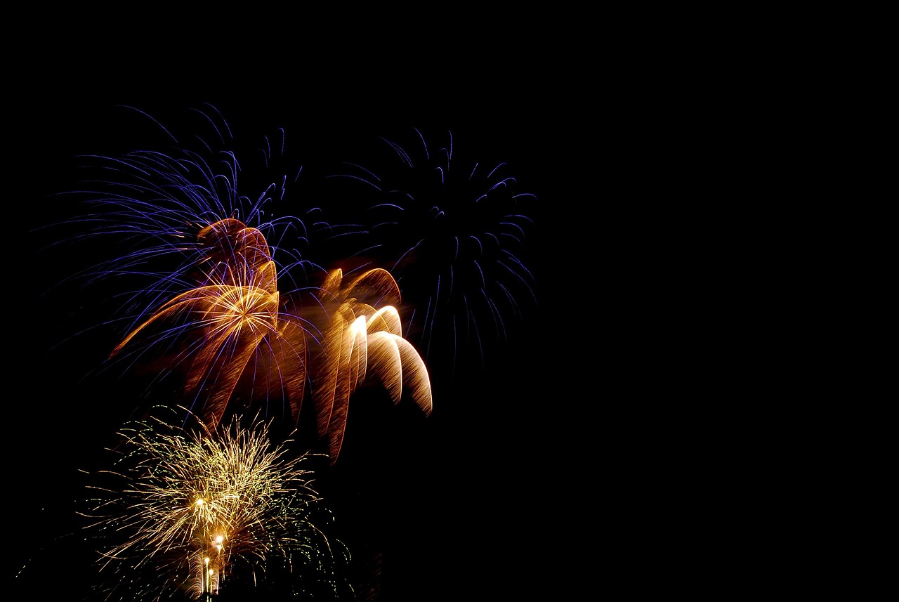 Celebrity party
