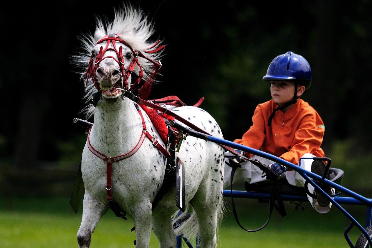 Horse racing