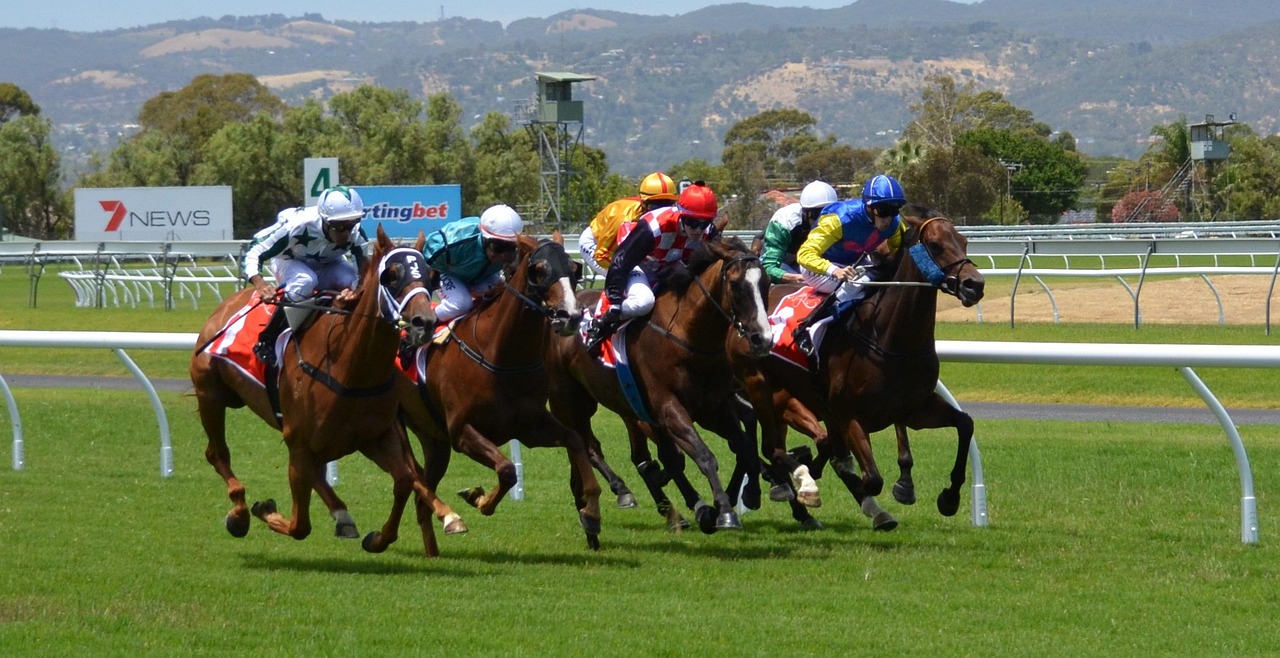 horse racing betting