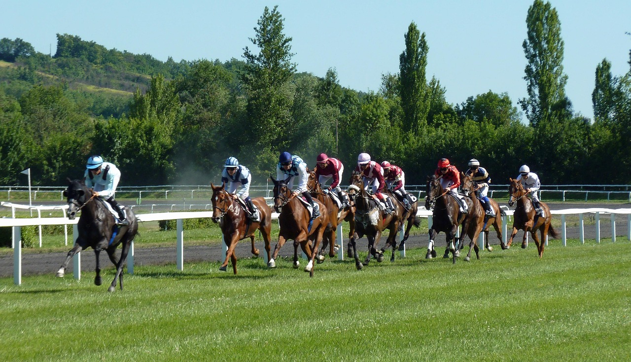 horse racing
betting
sports