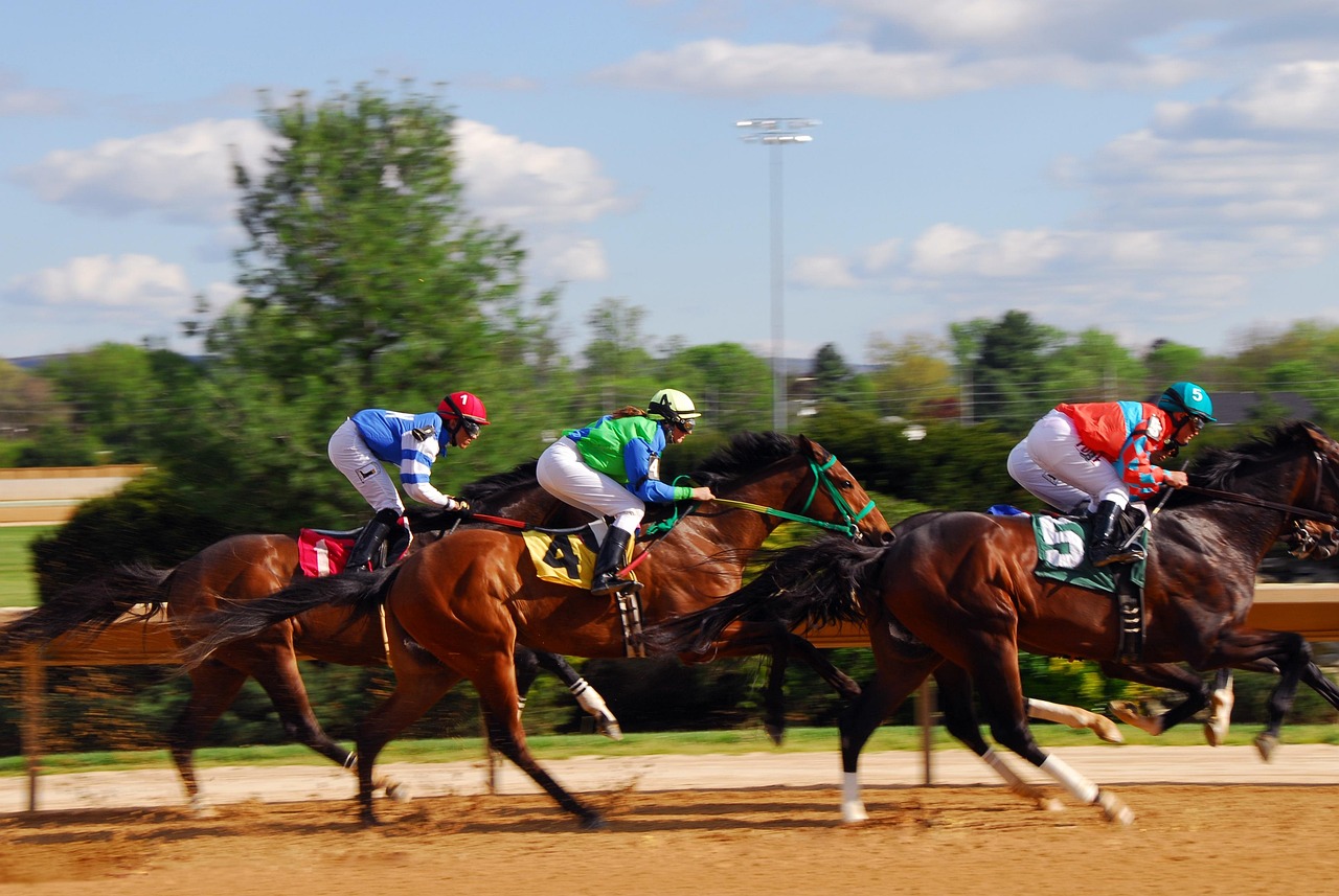 Horse racing