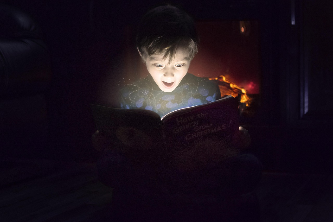 book adventure