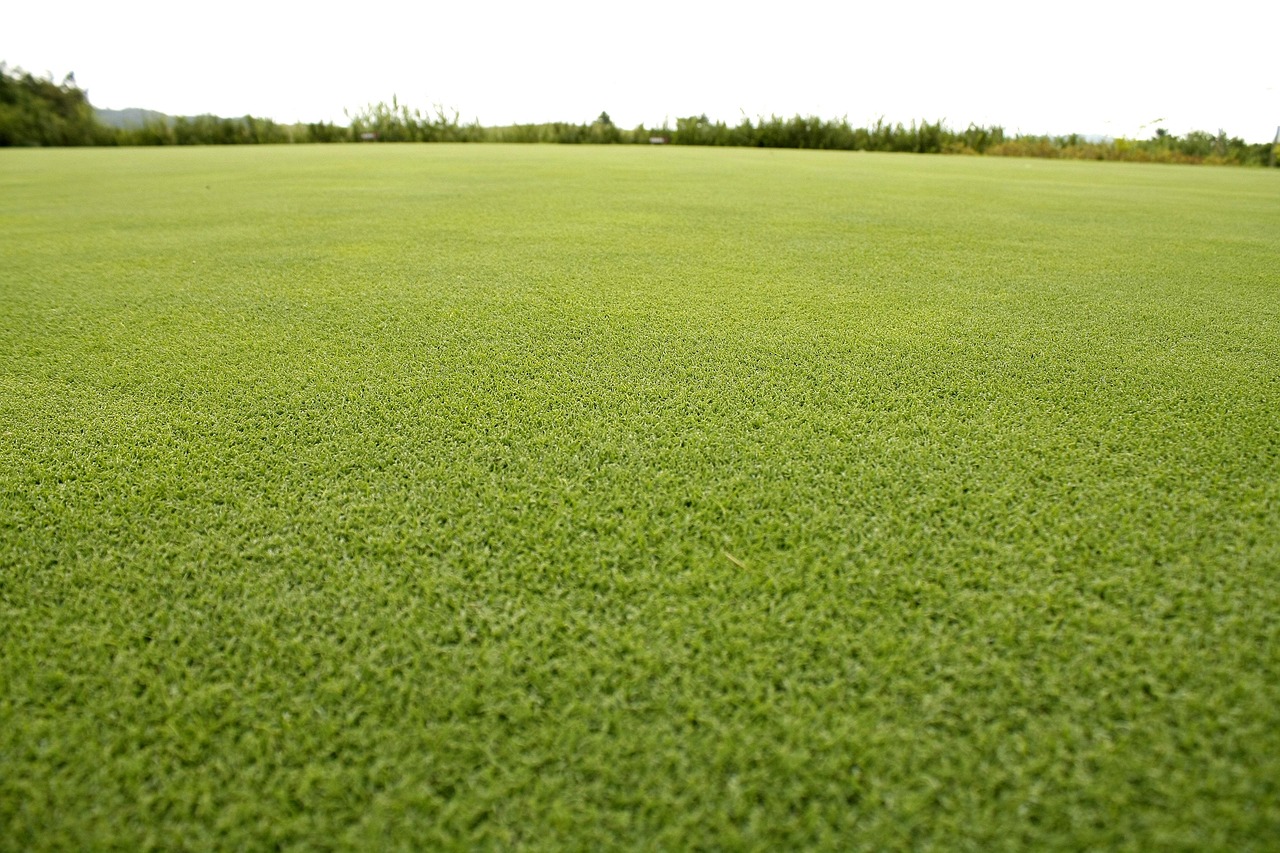 golf course