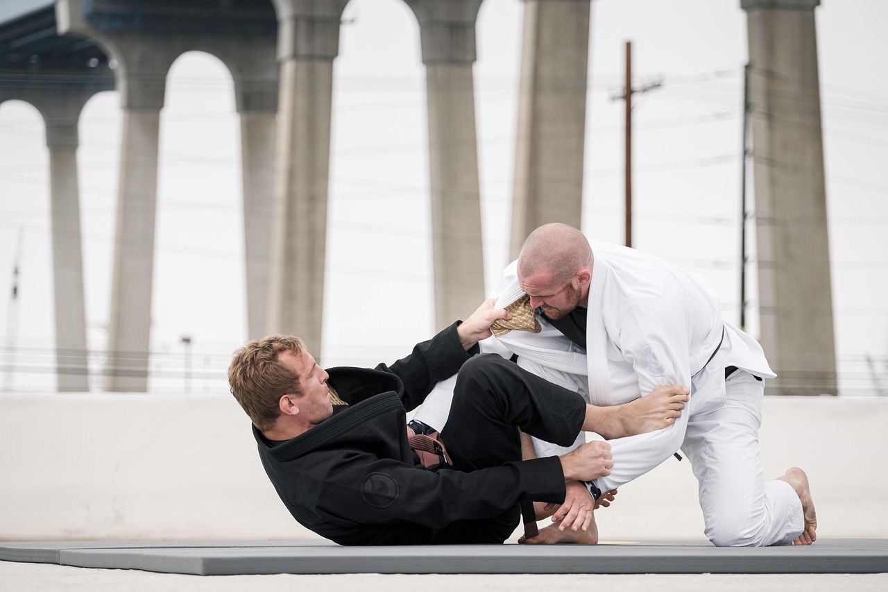 MMA fight