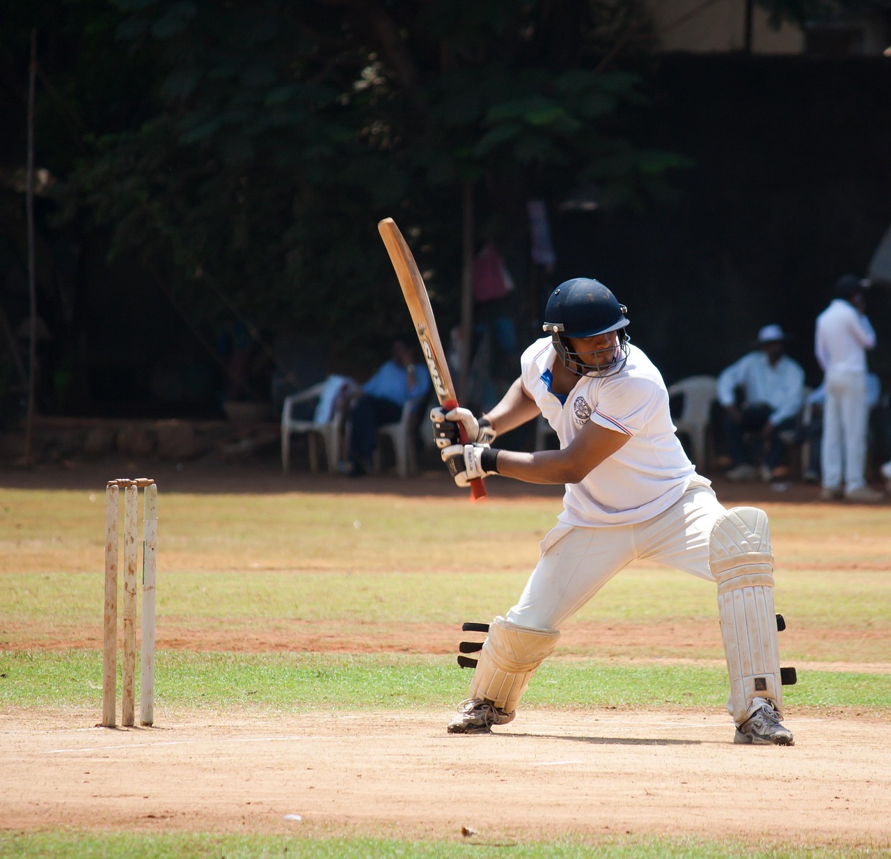 Cricket action