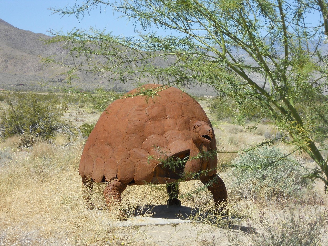 Desert sculpture