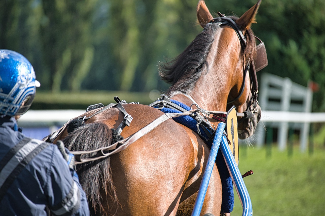 Horse racing