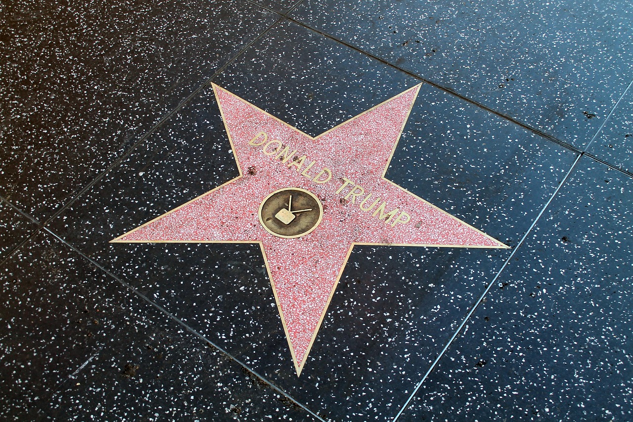 Hollywood entertainment
