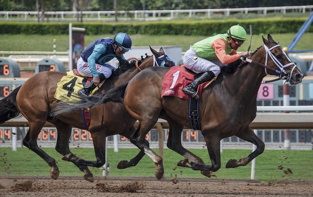 horse racing betting