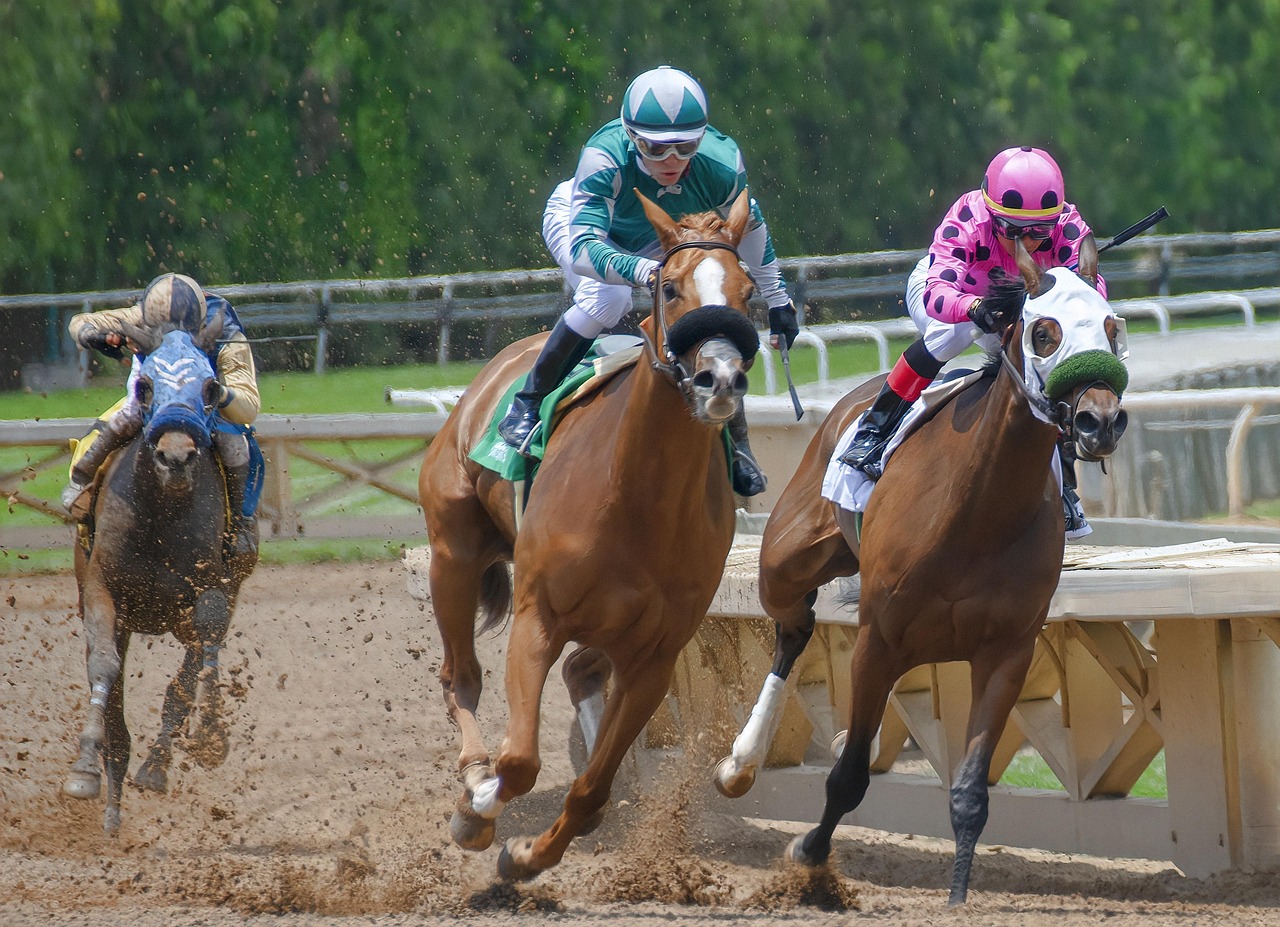 horse racing
betting
sports