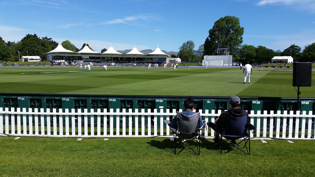cricket action