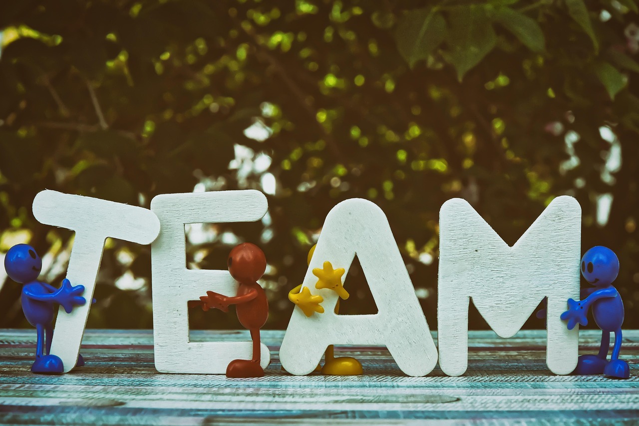 Team strategy