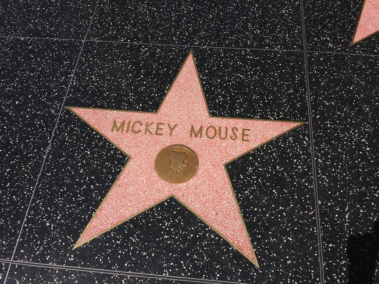 Hollywood entertainment