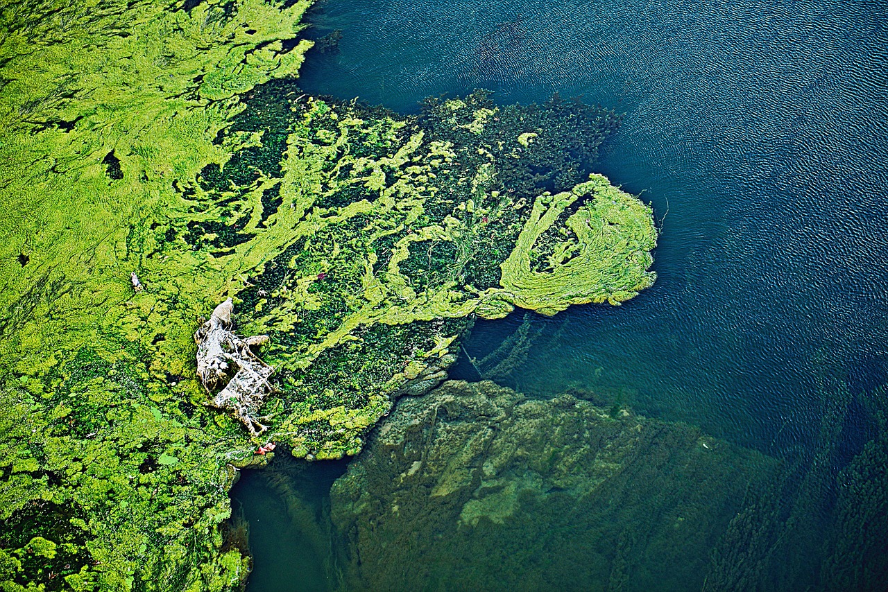 Water contamination