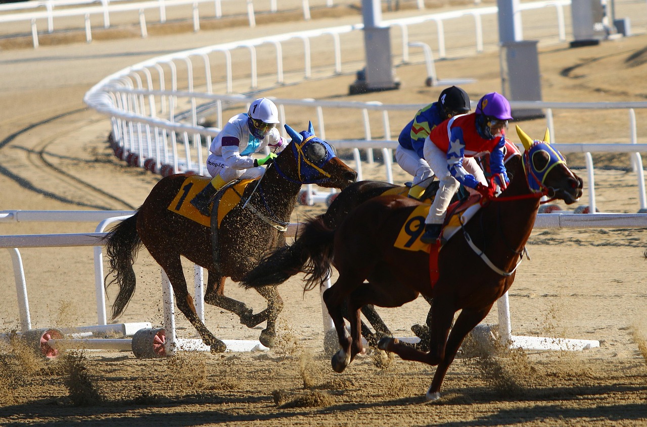 Horse racing