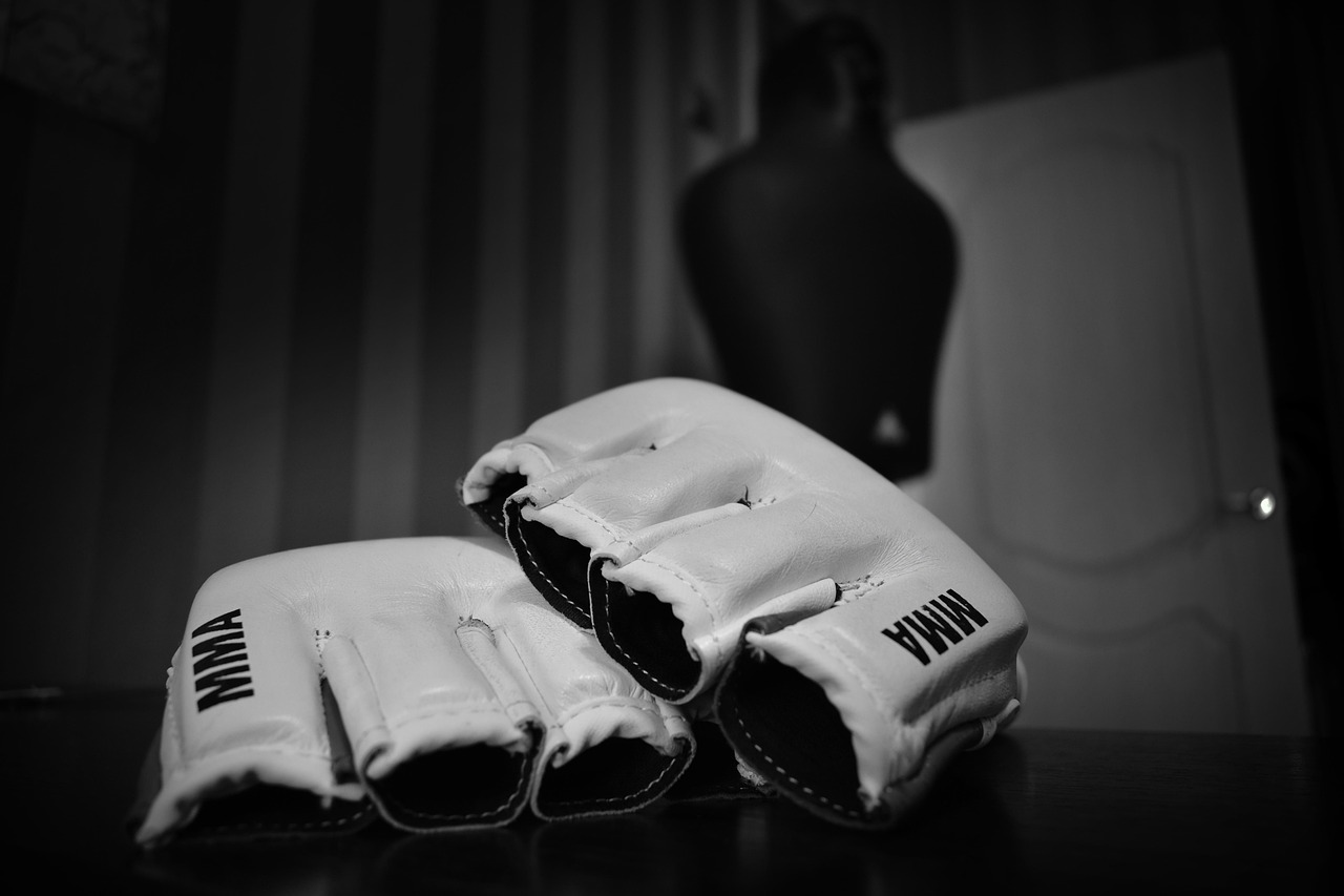 MMA training