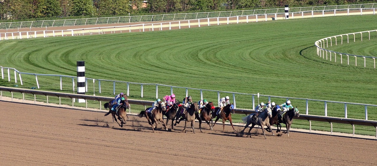 horse racing betting