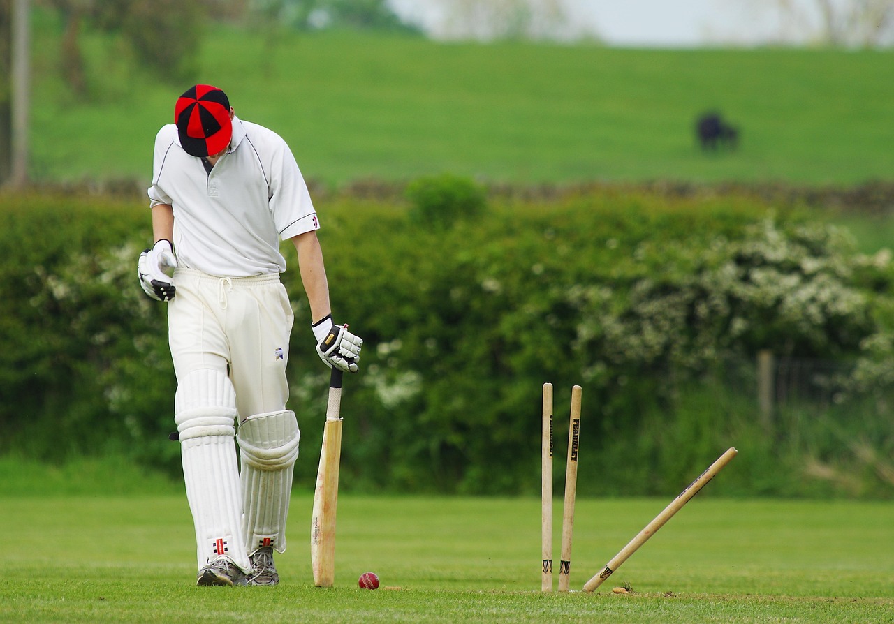 Cricket match